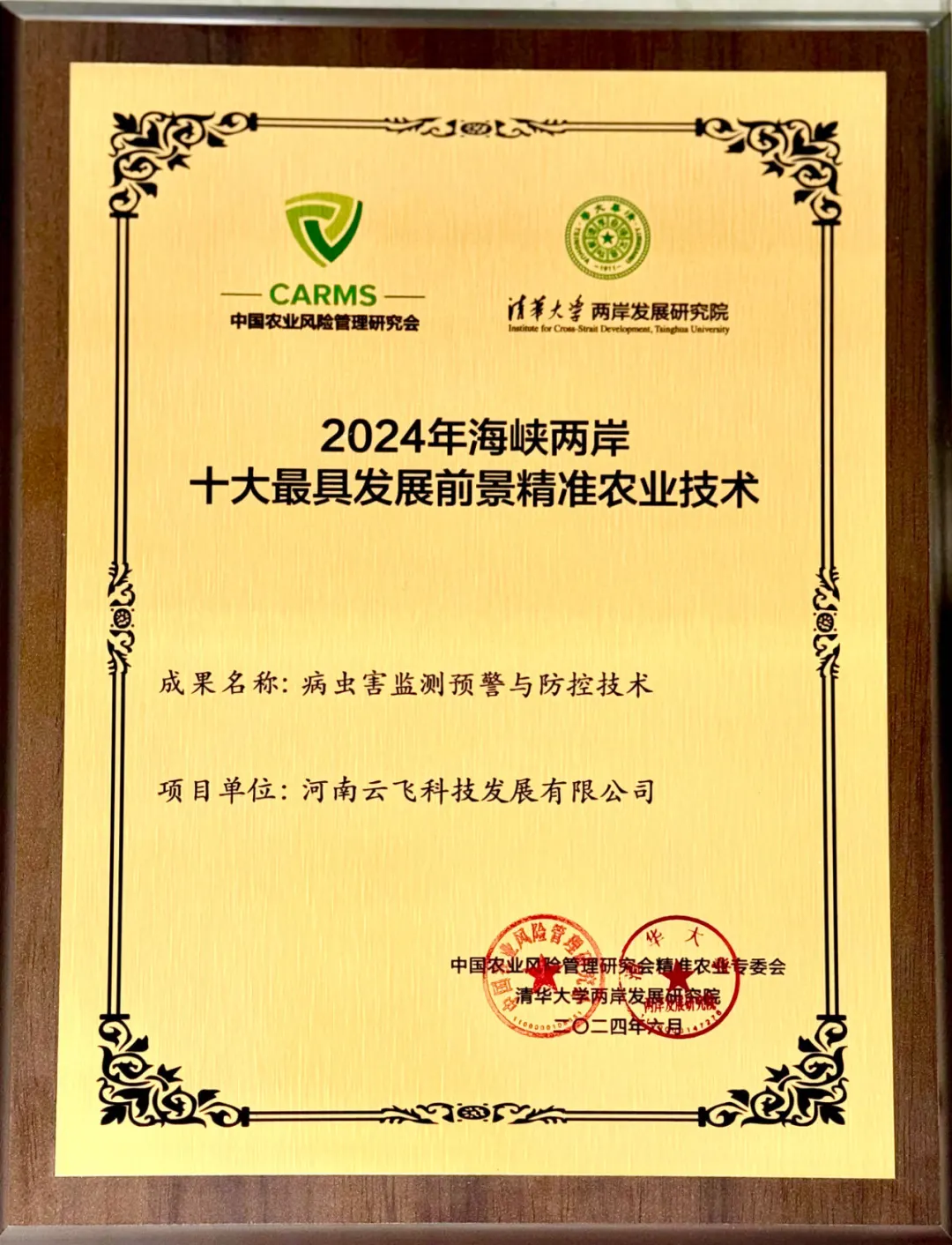 ���w�Ƽ����x&ldquo;2024���{�ɰ�ʮ����߰l(f��)չǰ������(zh��n)�r(n��ng)�I(y��)���g(sh��)&rdquo;